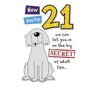 Carte d'anniversaire 21 ans avec message Secret of Adult Life