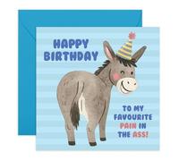 Carte d'anniversaire amusante âne - Blagues pour ami, frère, sœur, collègue, copain, frère, compagnon, compagnon, compagnon, lui, elle, homme - Problématique, stressant - Livré avec des autocollants