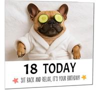 Carte d'anniversaire amusante pour 18e anniversaire avec bouledogue français pour adolescents de 18 ans, dix-huitième et dix-huitième