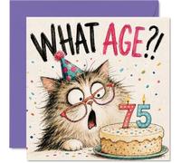 Carte d'anniversaire amusante pour 75 ans, motif chat avec chapeau et