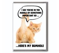 Carte d'anniversaire amusante pour chat « Here's my bumhole » - Carte d'anniversaire amusante pour les amoureux des chats - Petite amie - pour elle - Maman - sœur - épouse - fiancée - meilleure amie PET19
