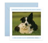 Carte d'anniversaire amusante pour sœur avec chien et chat - Animal câlin - Blagues sœur, frère, frère, frère, fille, elle, famille - Annoyed and Happy - Livré avec de jolis autocollants