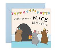 Carte d'anniversaire avec motif souris mignonnes « I Wishing You a Nice Bday Pun » - Cadeau animal mignon pour enfants, amis, nièces, neveux, sœurs, meilleures amies, collègues, femmes, elle - Livré
