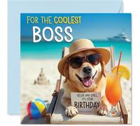 Carte d'anniversaire Boss - Chien de plage Chill - Carte d'anniversaire pour patron de la part d'un collègue employé, 145 mm Chill Beach Dog Cartes de vœux d'anniversaire