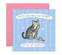 Carte d'anniversaire chat sarcastique - « Someone Cares, Not Me But Someone » - Carte humoristique pour amis, famille, collègues, lui, elle, homme, femme, frère, sœur, meilleure amie, meilleure amie