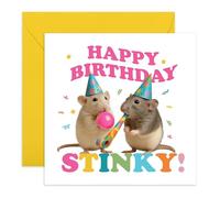 Carte d'anniversaire Cheeky Rat - « Happy Birthday Stinky » - Carte de vœux insolite pour amis, meilleure amie, frère, sœur, petit ami, petite amie, fiancée, épouse, mari, lui, elle - Livré avec des