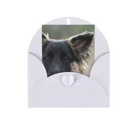 Carte d'anniversaire en papier vierge avec impression de berger allemand - Carte d'anniversaire pour les fêtes de fin d'année - Inscription « Thinking of You »