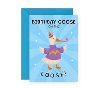 Carte d'anniversaire - Goose on the Loose Joke - Cadeaux hilarants pour amis, famille, meilleure amie, frère, sœur, nièce, neveu, fils, fille, femme, homme - Livrée avec autocollants