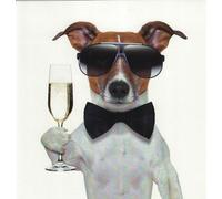 Carte d'anniversaire humoristique Jack Russell terrier buvant du champagne 16,5 x 16,5 cm OE.