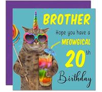 Carte d'anniversaire humoristique pour 20e frère - Chat Meowgical pour 20 ans