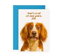 Carte d'anniversaire Jokes - « Lot of Dog Years, Pal » - Carte de vœux humoristique pour lui, elle, amis, meilleure amie, oncle, tante, grand-père, maman, papa, amoureux des chiens - Vieillir