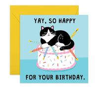 Carte d'anniversaire pour chat - « Yay, So Happy » - Chat grincheux assis sur un gâteau - Carte hilarante pour amis, maman, frère, sœur, meilleure amie, voisin, amoureux des animaux, lui, elle - Livré