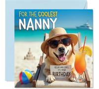Carte d'anniversaire pour nounou - Chien de plage Chill - Carte d'anniversaire pour grand-mère de la part de petit-fils et petite-fille, 145 mm Chill Beach Dog Cartes de vœux d'anniversaire
