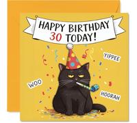 Carte d'anniversaire sarcastique 30 ans - Chat grincheux apporte les vibrations de fête - Illustration félin dans un chapeau avec confettis et bannière coquine - Carré de 145 mm, enveloppe incluse