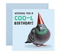 Carte d'anniversaire spirituelle pour lui, elle - Pigeon cool - Cadeaux pour amis, frère, sœur, collègue, collègue, copain, compagnon, dames, voisin - Livrée avec des autocollants amusants
