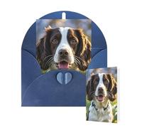 Carte d'anniversaire vierge 10 x 15 cm avec enveloppes, jolie carte de vœux épagneul springer pour toutes les occasions, cartes « Thinking of You » pour mariage, invitation d'affaires