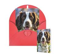 Carte d'anniversaire vierge 10 x 15 cm avec enveloppes, jolie carte de vœux épagneul springer pour toutes les occasions, cartes « Thinking of You » pour mariage, invitation d'affaires