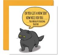 Carte de départ amusante pour collègues, femmes, hommes - Chat impertinent - Sorry Your Leaving Good Luck In Your New Job carte de vœux 145 mm x 145 mm
