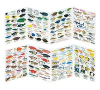 Carte de détermination du poisson - Pour détermination des poissons méditerranéens, eau douce, mer rouge (mer rouge)