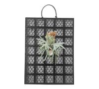 Carte de Montage des fougères Staghorn - Rack d'affichage de la Murale en Fer PP, Support de Plantation d'orchidées | Porte-Toile d'escalade, Fournitures de Jardinage en Plein air en intérieur.