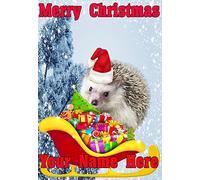 Carte de Noël humoristique avec motif hérisson sur le traîneau du Père Noël nnc227 - Format A5 - Cartes de vœux personnalisées