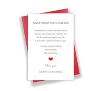Carte de Noël « Never Foget I Love You » - Carte de Noël amusante pour « My Everything My Love »