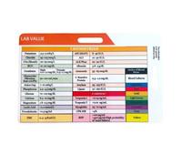 Carte de poche rythmique facile à transporter avec marquage transparent pour enseigner la musique, étudiant, débutant, amélioration du timing, répétitions, référence rythmique
