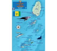 Carte de Saint-Vincent-et-les Grenadines et guide des créatures du récif imperméable