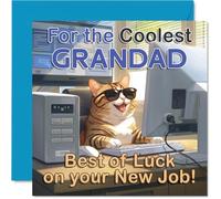 Carte de soutien pour grand-père - Wishing You the Best of Luck - Chat cool avec lunettes de soleil sur un ordinateur - Une façon amusante de dire félicitations avec style - Carré de 145 mm, enveloppe