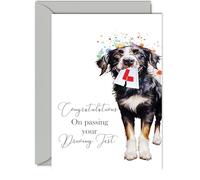 Carte de test de conduite Just Passed - Party Dog - Congratulations Well Done Congrats Driving Test Pass Card Passing Conduite Test de conduite - Cadeau de réussite - 12,7 x 17,8 cm