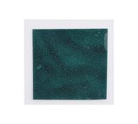 Carte de visualisation du magnétique, film de visualisation magnétique 50 x 50 mm pour l’observation scientifique, outil compact de visualisation de motifs magnétiques au