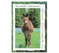 Carte De Voeux - Anniversaire - Cheval Un An De Plus ... Laisse-moi Rire ! G