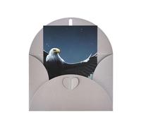Carte de vœux Aigle sous les étoiles, 10,2 x 15,2 cm, enveloppe en forme de cœur, convient pour toutes les occasions.