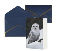 Carte de vœux avec enveloppes bleues, carte « Thinking of You » - Chouette des neiges - Joyeux anniversaire mariage invitation vierge pour toutes les occasions 10 x 15 cm