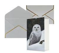 Carte de vœux avec enveloppes gris clair, carte « Thinking of You » - Chouette des neiges - Joyeux anniversaire mariage invitation vierge pour toutes les occasions 10 x 15 cm