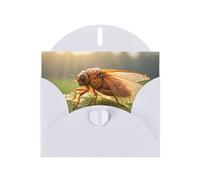 Carte de vœux blanche YYHWHJDE Dewdrop Cigale Image parfaite pour la Saint-Valentin, un anniversaire de mariage et des invitations de fête