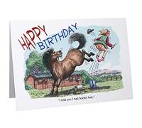 Carte de vœux humoristique « Happy Birthday » avec chevaux et poneys - Format A5