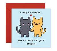 Carte de vœux pour couple de chats mignons - At Least I'm Your Stup*d » - Carte d'amour romantique pour petit ami, petite amie, partenaire, conjoint, épouse, mari, fiancé, bébé, lui, elle - Idées