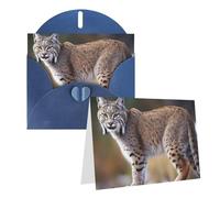 Carte de vœux vierge de 10,2 x 15,2 cm avec enveloppes, carte de remerciement motif Bobcat sauvage, cartes de notes, cartes de notes, cartes bleues, cartes de toutes occasions pour Noël, vacances