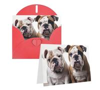 Carte de vœux vierges de 10,2 x 15,2 cm avec enveloppes, deux adorables chiens bouledogues, cartes de remerciement, cartes de notes, cartes rouges pour toutes les occasions pour Noël, vacances