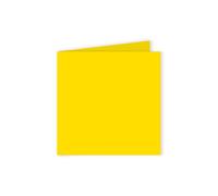 Carte Double Faire Part Pollen 210g 160 X 160 Mm Par 25 Rouge Groseille