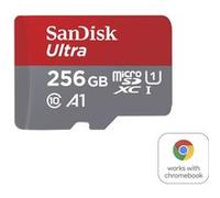 Carte mémoire MicroSD UHS-I SanDisk Ultra A1 256 Go Rouge et gris Rouge et gris G