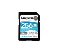Kingston Carte mémoire SD Canvas Go! Plus 256 Go 170 Mo/s C10 UHS-I U3 V30