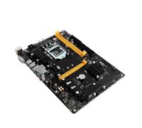 Carte mère 32 Go DDR4 LGA 1151 DVI SATA3 B250 Compatible avec l'exploitation minière BIOSTAR TB250-BTC