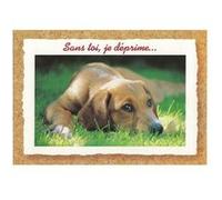 Carte Message - Chien Sans Toi, Je Déprime ... G