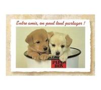 Carte Message - Chiots Entre Amis, On Peut Tout Partager G
