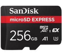 SanDisk Express Storage 256Gb Menthe Unisex