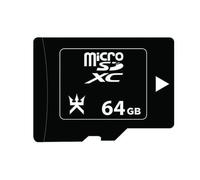 Carte MicroSD Alpha Omega Players 64 Go pour Nintendo Switch