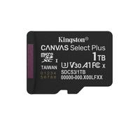 Kingston Carte microSDXC Canvas Select Plus 1 To – A1 V30 UHS‑I U3 – Noir