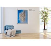 Carte murale en relief - Corse - 80 x 113 cm | IGN